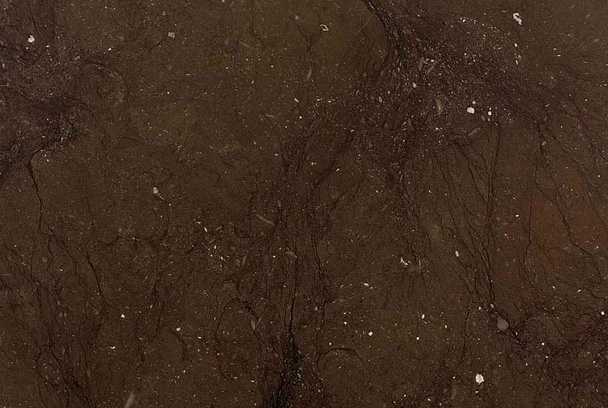 Caesar Brown / Kaesar Brown