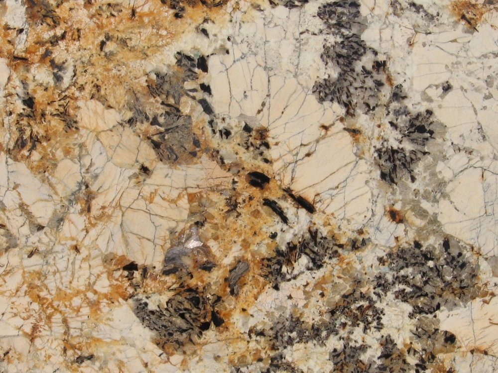 Delicatus Gold / Delicatus Brown