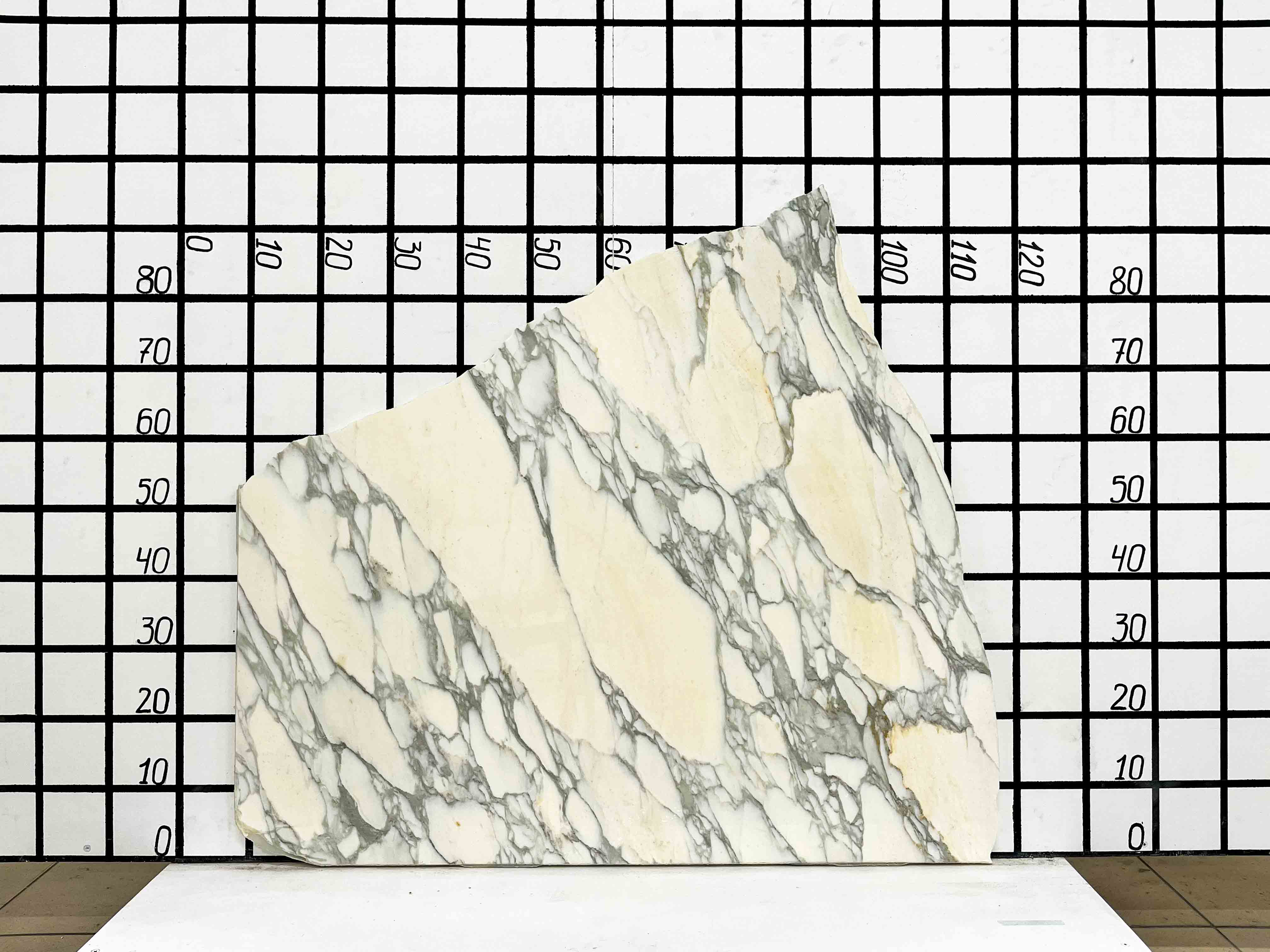 Изображение Заготовка F2365 (850х550х20 мм)/Мрамор Calacatta/Белый/Полировка