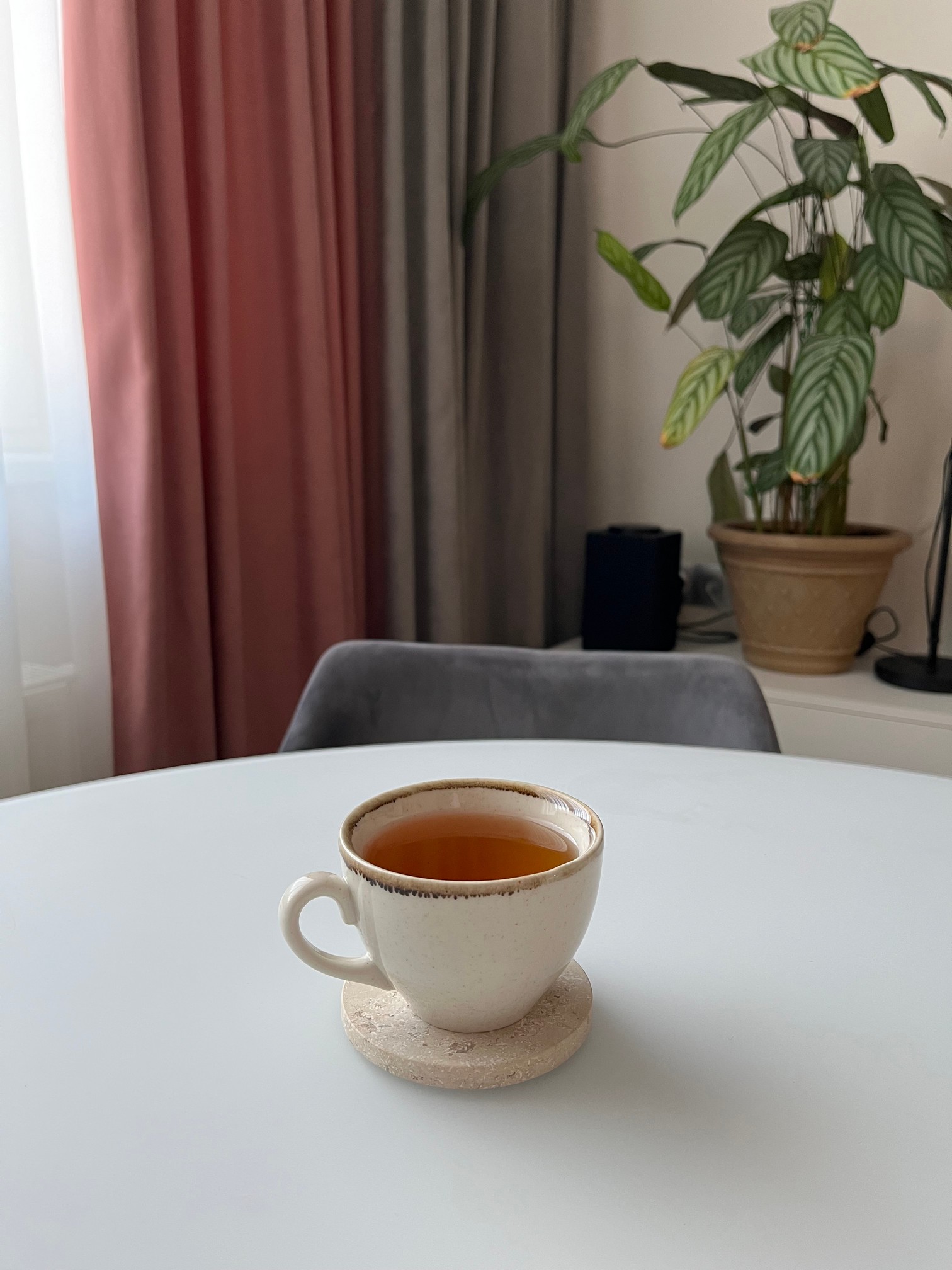 СПK Подставка круглая (91х91х8 мм)/Известняк Jura Beige/Бежевый/Лощение - изображение 4