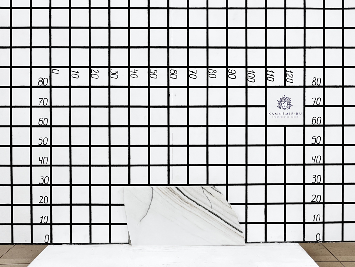 Изображение Заготовка F3356 (410х290х20 мм)/Мрамор Panda White/Черно-белый/Полировка