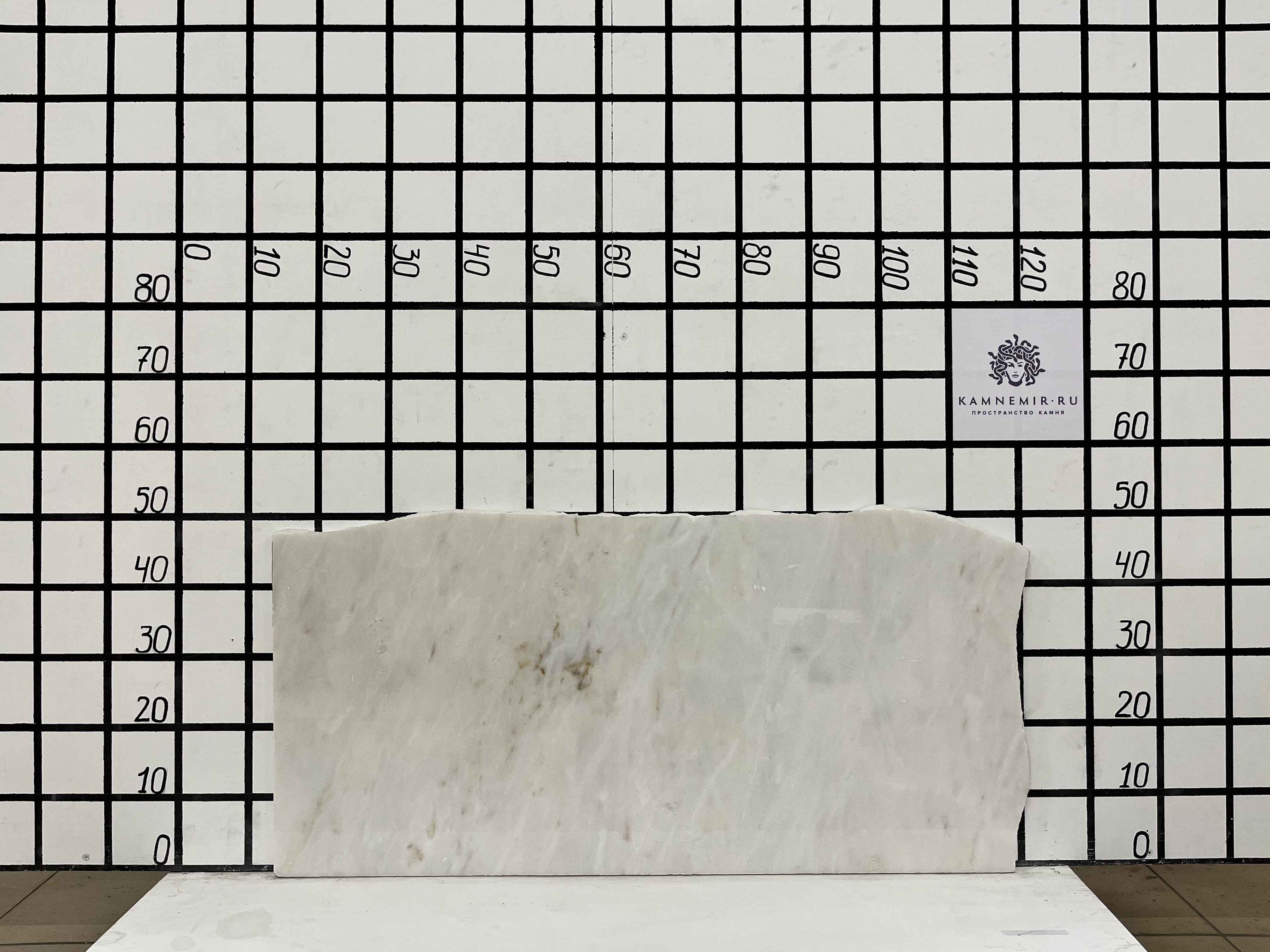 Изображение Заготовка F2541 (1000х450х20 мм)/Мрамор Bianco Lasa Vena Oro/Белый/Полировка