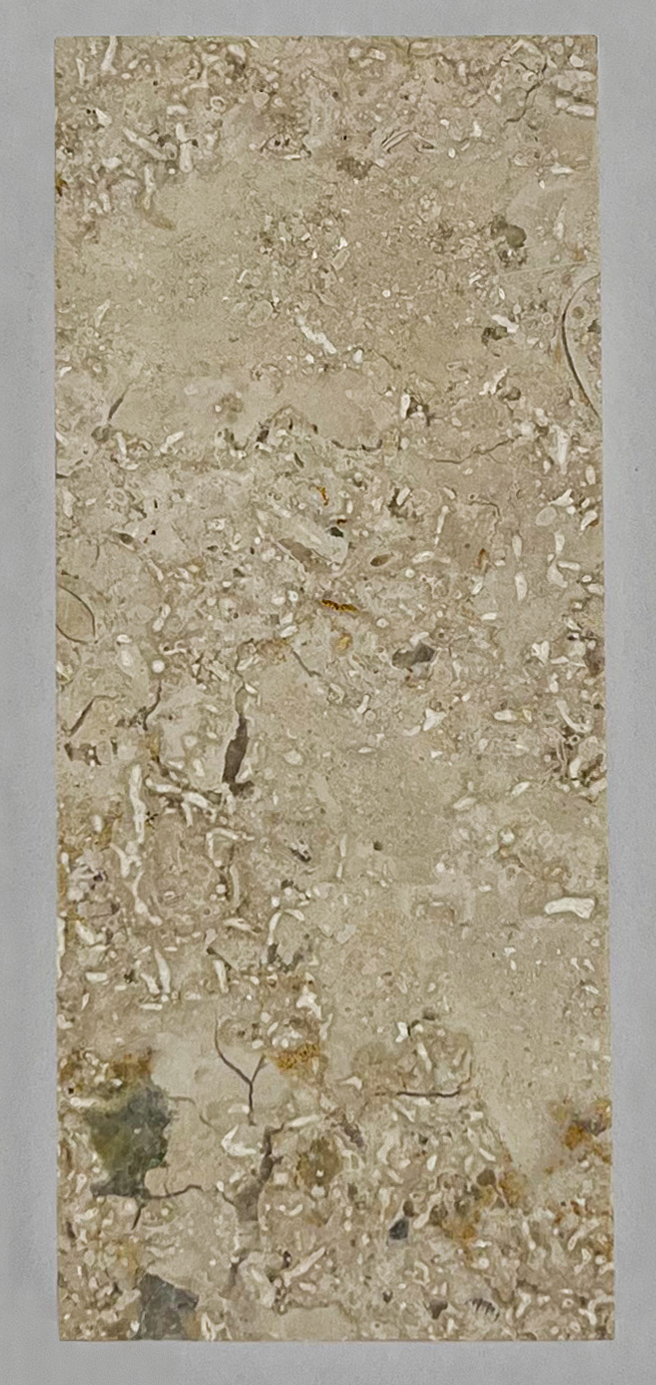 Заготовка П2 (м/п) (Lх40х10 мм)/Известняк Jura Beige Rahmweiss/Бежевый/Лощение - изображение 7