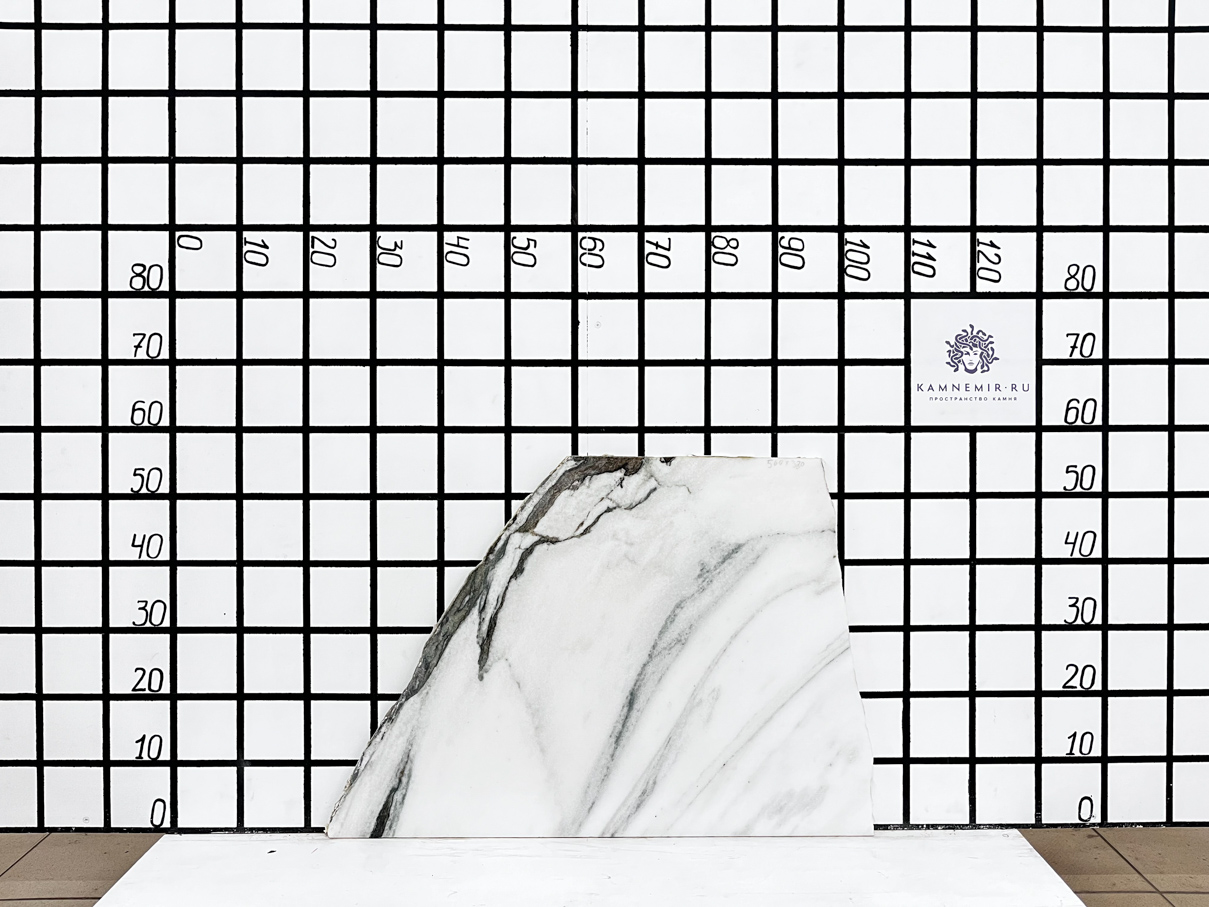Изображение Заготовка F3367 (530х380х20 мм)/Мрамор Panda White/Черно-белый/Полировка