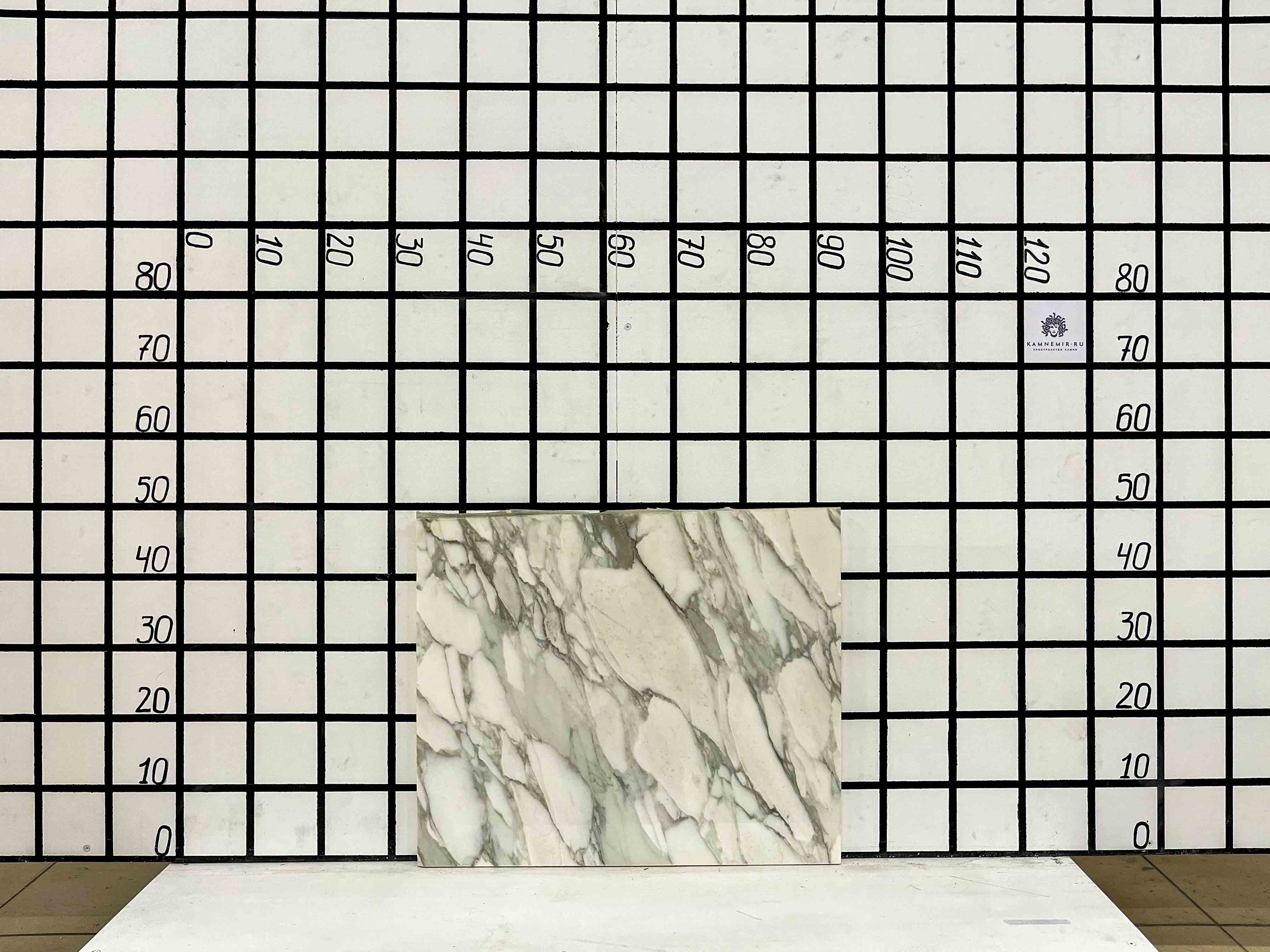 Изображение Заготовка F2424 (570х460х20 мм)/Мрамор Calacatta/Белый/Полировка