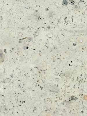 Кингисеппский