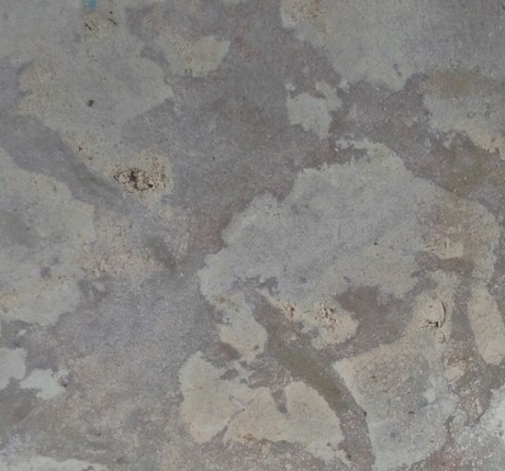 Путиловский