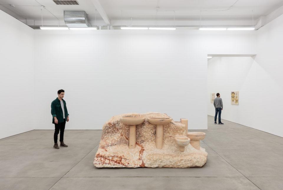 Выставка Rosa Aurora Rosa изображение 5