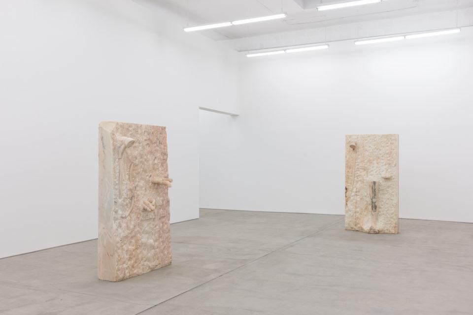 Выставка Rosa Aurora Rosa изображение 6