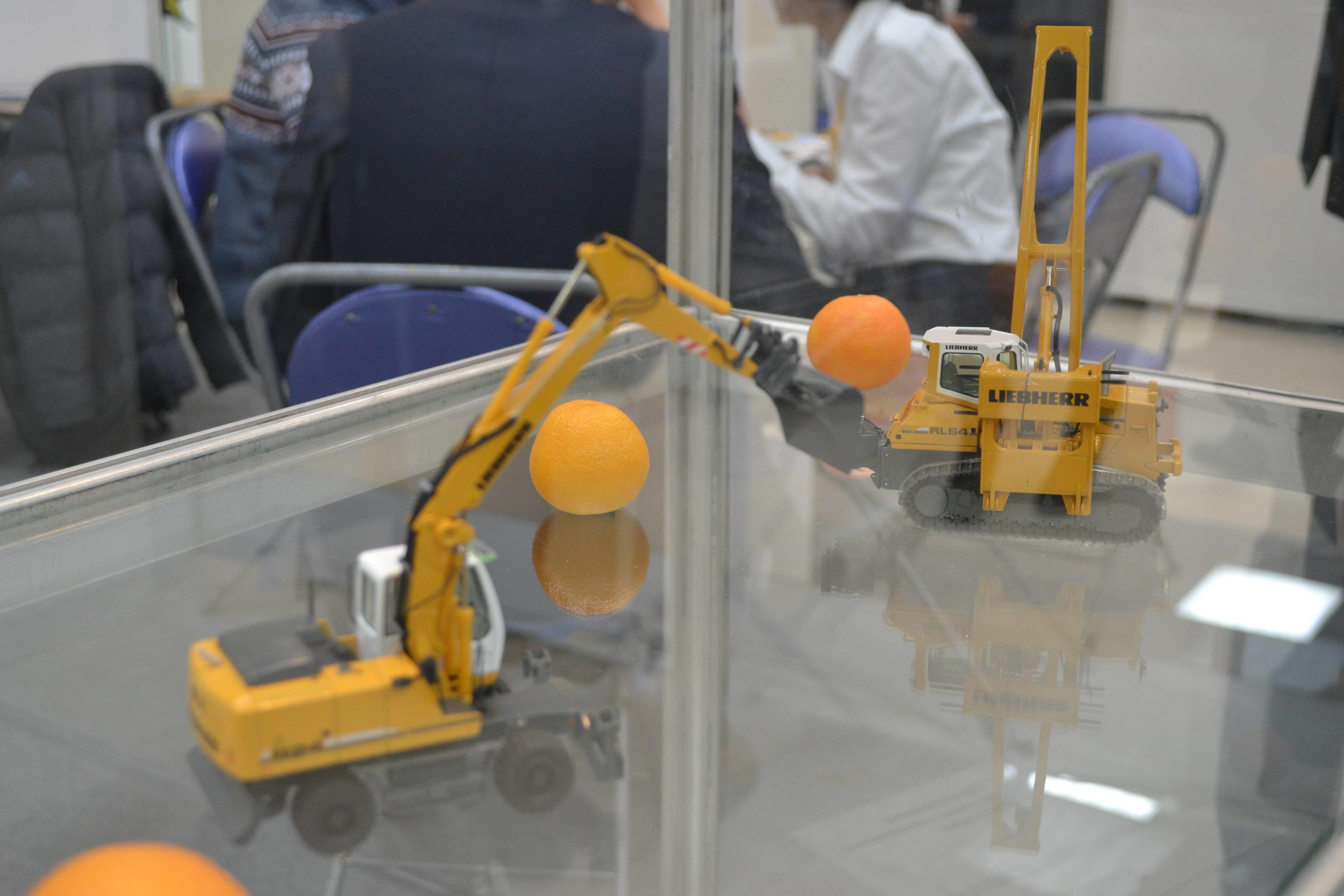 Моменты выставки