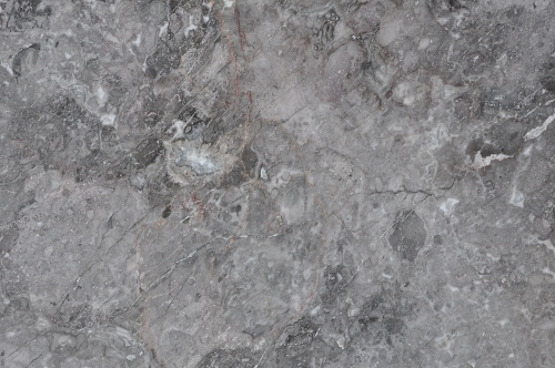 Cesar Grey / China Grey