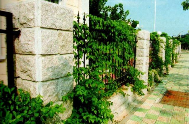 Забор из блоков колотого известняка