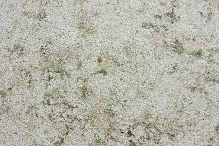 Бучардированный известняк