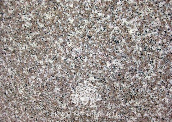 Bainbrook Brown / G664 - изображение 1