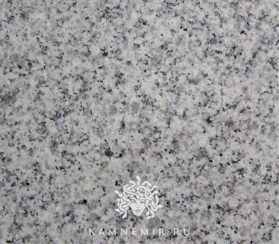 Bella White / G 603 - изображение 2