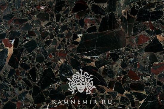 Black Beauty - изображение 2