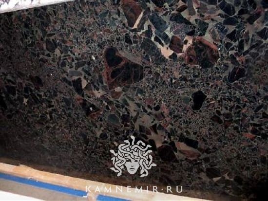 Black Beauty - фото 2