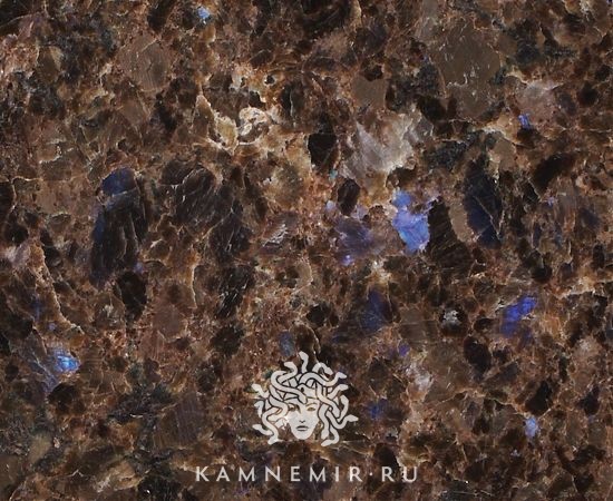 Labrador Antique - изображение 1