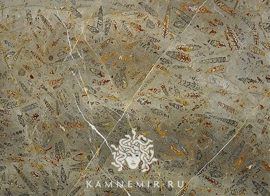 Jurassic Brown  - изображение 2