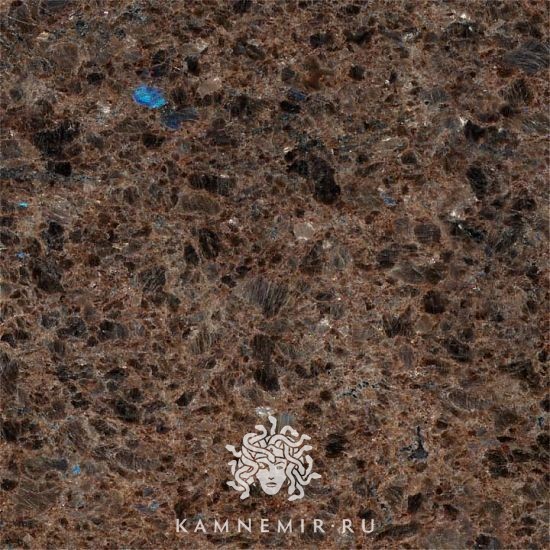 Labrador Antique - изображение 3