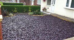 Purple Slate для украшения ландшафта 