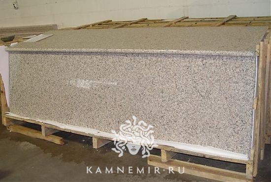 Rosa Beta - фото 1