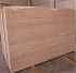 Travertine Eurasian - мини фото 1