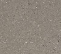 Фрагмент текстуры Shitake