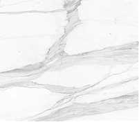 Фрагмент текстуры Calacatta Toskano 