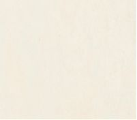 Фрагмент текстуры Lime Stone Beige