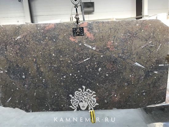 Brown fossil - фото 1