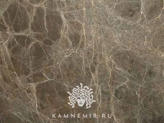 Ambrato - изображение 1