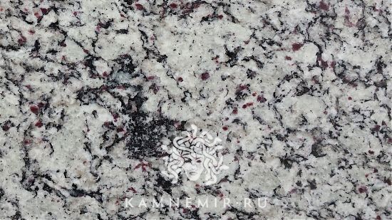 Bianco Primata - изображение 1