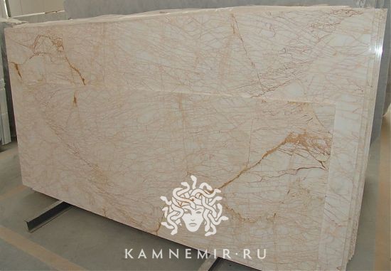 Golden Spider - фото 2