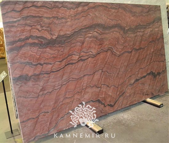 Revolution - фото 2