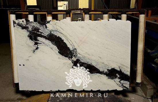 Panda White - фото 6