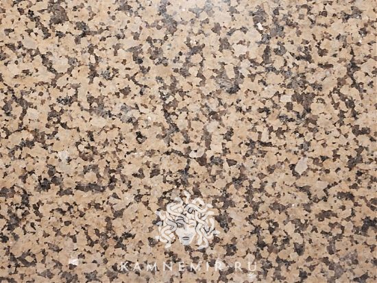 Жельтау желтый - изображение 5