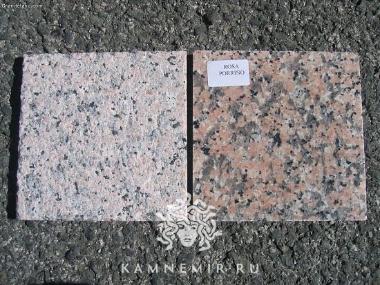 Rosa Porrino - изображение 3