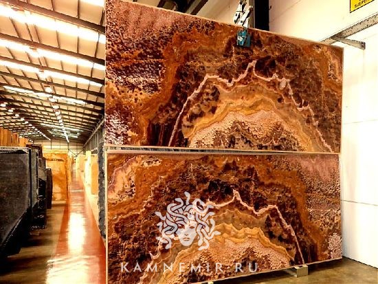 Onyx Tiger / Onyx Tigrato - фото 4