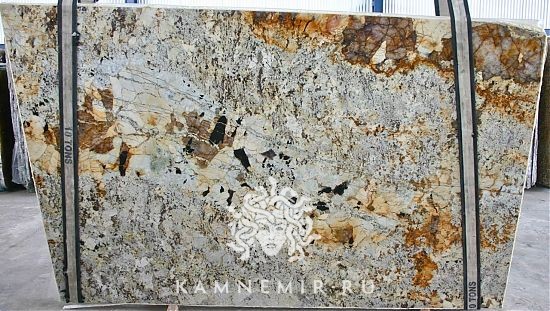 Delicatus Gold / Delicatus Brown - фото 1