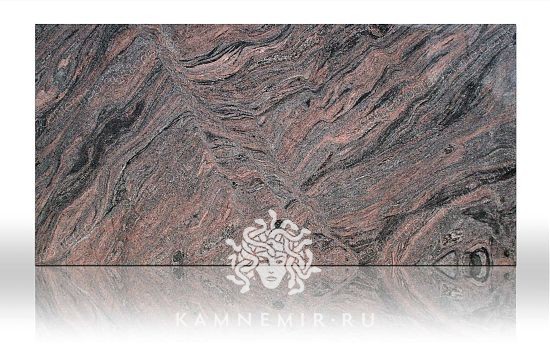 Paradiso - фото 1