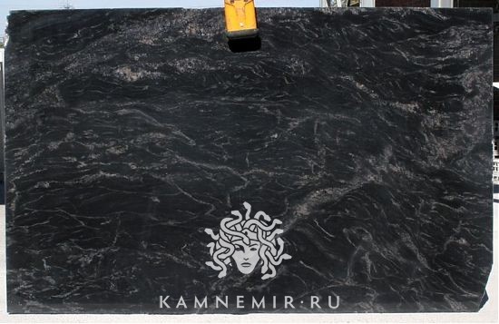 Black Forest - фото 1