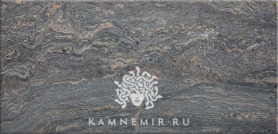 Paradiso - фото 2