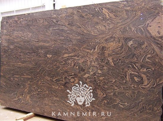 Paradiso - фото 3