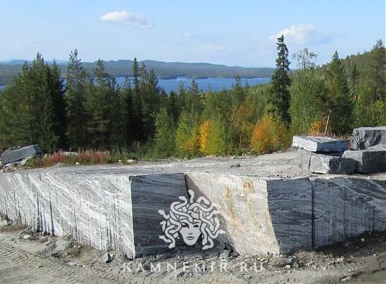 Айс Тундра - фото 1