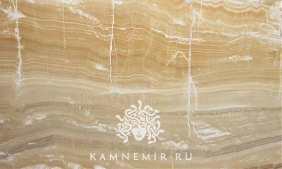 Onyx Miele - фото 4