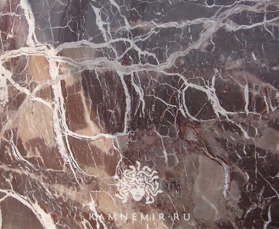 Brown Alligator - изображение 1