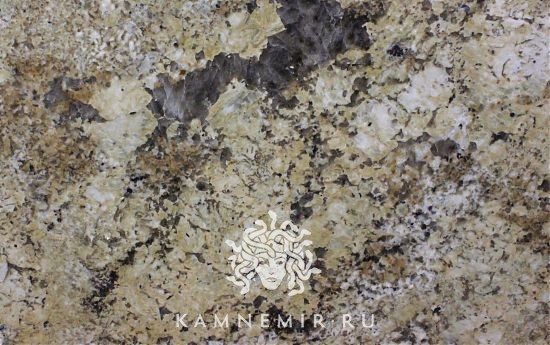 Sage Brush - изображение 1