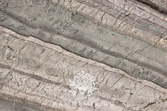 Corteccia - изображение 1