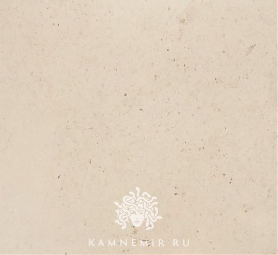 Branco Valongo - изображение 1